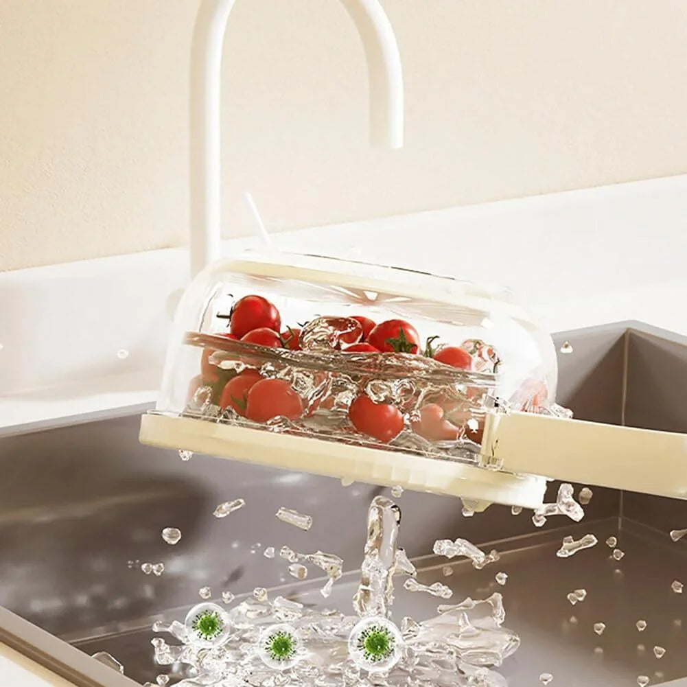 FreshSeal – Fruit & Veggie Storage Container for Lasting Freshness