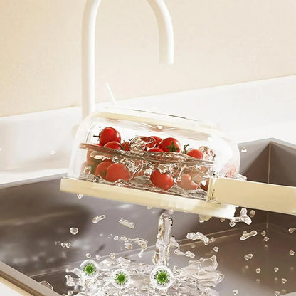 FreshSeal – Fruit & Veggie Storage Container for Lasting Freshness
