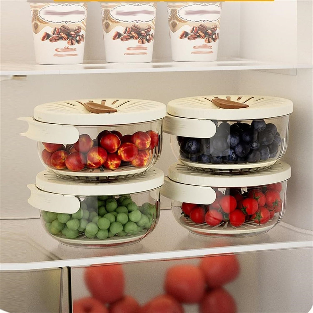 FreshSeal – Fruit & Veggie Storage Container for Lasting Freshness