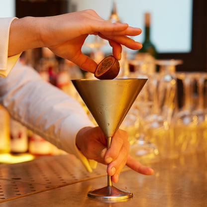 Stainless Steel Matte Silver Martini Cocktail Glasses